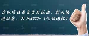 虚拟项目垂直类目玩法，新人快速起店，月入5000+【视频课程】-优优云创网