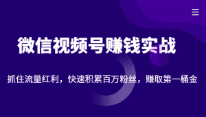 微信视频号赚钱实战:抓住流量红利,快速积累百万粉丝,赚取你的第一桶金-优优云创网