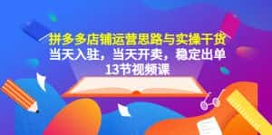 （5695期）拼多多店铺运营思路与实操干货，当天入驻，当天开卖，稳定出单（13节课）-优优云创网