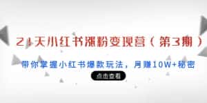 21天小红书涨粉变现营(第3期):带你掌握小红书爆款玩法,月赚10W+秘密-优优云创网