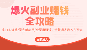 爆火副业赚钱全攻略：实打实演练/学完就能用/全渠道赚钱，带普通人月入３万元-优优云创网