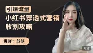 苏歆:小红书穿透式营销收割攻略,引爆流量,助你玩转小红书-优优云创网