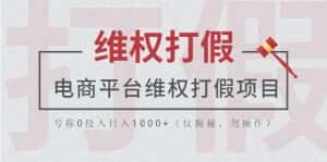 （5709期）电商平台维权打假项目，号称0投入日入1000+（仅揭秘，勿操作）-优优云创网