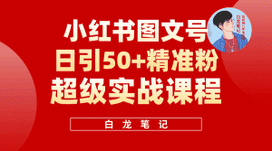 （5710期）小红书图文号日引50+精准流量，超级实战的小红书引流课，非常适合新手-优优云创网