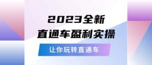 (5714期)2023全新直通车·盈利实操:从底层,策略到搭建,让你玩转直通车-优优云创网