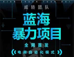 引流哥蓝海暴力躺赚项目：无需发圈无需引流无需售后，每单赚50-500（教程+线报群)-优优云创网