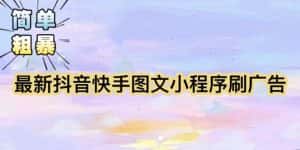 （5720期）【简单粗暴】收费5980的最新抖音快手小程序掘金（详细教程）-优优云创网