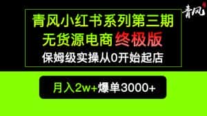 (5723期)小红书无货源电商爆单终极版【视频教程+实战手册】保姆级实操从0起店爆单-优优云创网
