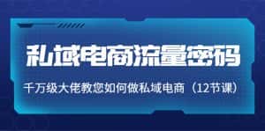私域电商流量密码:千万级大佬教您如何做私域电商(12节课)-优优云创网