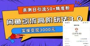 （5739期）实测日引50+精准粉，闲鱼引流高阶玩法3.0，实操变现3000元-优优云创网