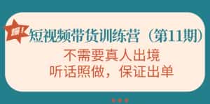 视频带货训练营,不需要真人出境,听话照做,保证出单(第11期)-优优云创网