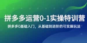 (5747期)拼多多-运营0-1实操训练营,拼多多0基础入门,从基础到进阶的可实操玩法-优优云创网