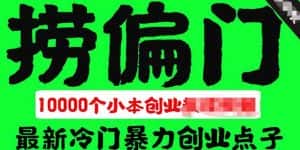 （5750期）千款捞偏门小本创业小项目，总有一款适合你【无水印】-优优云创网