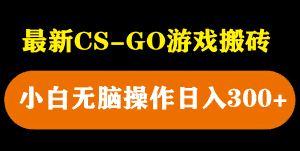 （5760期）最新csgo游戏搬砖游戏，无需挂机小白无脑也能日入300+-优优云创网