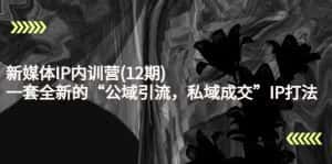新媒体IP内训营(12期)，一套全新的“公域引流，私域成交”IP打法，直接带走-优优云创网