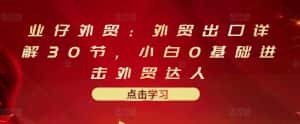 业仔外贸:外贸出口详解30节,小白0基础进击外贸达人 价值666元-优优云创网