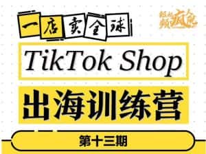 TikTokShop出海训练营(第十三期),打开全球流量新思维,出海抢占全球新流量,一店卖全球-优优云创网