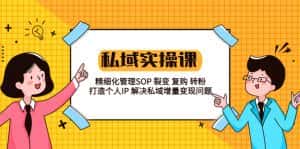 (5805期)私域实战课程:精细化管理SOP 裂变 复购 转粉 打造个人IP 私域增量变现问题-优优云创网