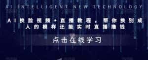 (5820期)AI换脸视频+直播教程 帮你换成别人的模样还能实时直播撸钱 (教程+配套资料)-优优云创网