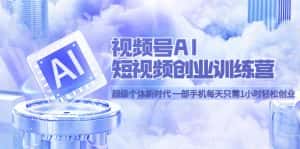 （5827期）视频号AI短视频创业训练营 超级个体新时代 一部手机每天只需1小时轻松创业-优优云创网