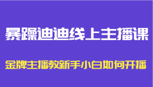暴躁迪迪线上主播课,金牌主播教新手小白如何开播-优优云创网