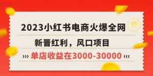 (5840期)2023小红书电商火爆全网,新晋红利,风口项目,单店收益在3000-30000!-优优云创网