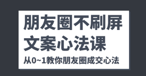 朋友圈不刷屏文案心法课 人人都要懂的商业逻辑 从0~1教你朋友圈成交心法-优优云创网