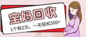 最新小红书母婴号宝妈粉回收项目，1个粉2元，一天轻松500+案例分享【粉丝包回收】-优优云创网