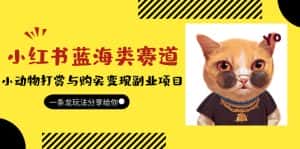 (5867期)小红书蓝海类赛道:小动物打赏与购买变现副业项目,一条龙玩法分享给你!-优优云创网