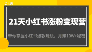 21天小红书涨粉变现营(第4期):带你掌握小红书爆款玩法,月赚10W+秘密-优优云创网