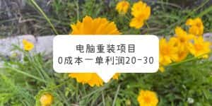 (5882期)电脑系统重装项目,0成本一单利润20-30-优优云创网