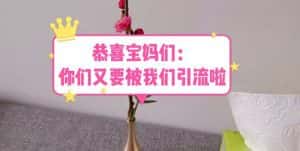 (5891期)恭喜宝妈们:你们又要被我们引流了(教程+222g资料)-优优云创网