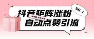 (5900期)外面收费3988斗音矩阵涨粉挂机项目,自动化操作【软件+视频教程】-优优云创网