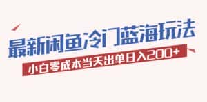 (5903期)2023最新闲鱼冷门蓝海玩法,小白零成本当天出单日入200+-优优云创网