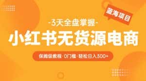 （5912期）2023小红书无货源电商【保姆级教程从0到日入300】爆单3W-优优云创网