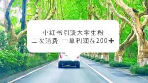 (5914期)小红书引流大学生粉,变现项目,一单利润在200+(教程+资源)-优优云创网