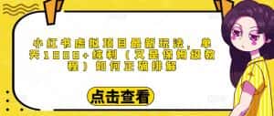 小红书虚拟项目最新玩法，单天1000+纯利（又是保姆级教程文档）-优优云创网