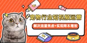 （5925期）宠物/行业短视频运营  流量增长的一层窗户纸  解决流量焦虑+实现降本增效-优优云创网