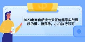 （5956期）2023电商自然流七天正价起号实战课：起的慢，但是稳，小白执行即可！-优优云创网