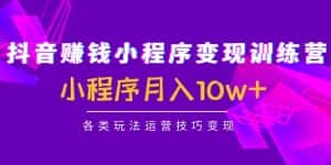 抖音赚钱小程序变现训练营:小程序月入10w+各类玩法运营技巧变现-优优云创网