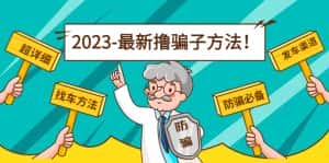 最新撸骗子方法日赚200+【11个超详细找车方法+发车渠道】-优优云创网