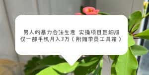 (5962期)男人的暴力合法生意实操项目巨细版:仅一部手机月入3w(附赠学员工具箱)-优优云创网