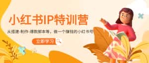 小红书IP特训营:从搭建-制作-爆款脚本等等,做一个赚钱的小红书号-优优云创网
