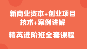 新商业资本+创业项目,技术+案例讲解,精英进阶班全套课程-优优云创网
