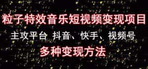 黄岛主《粒子特效音乐短视频变现项目》主攻平台抖音、快手、视频号多种变现方法-优优云创网