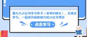 厦九九小红书学习年卡（全年IP孵化），沉浸式学习，一起成为有影响力的小红书博主-优优云创网
