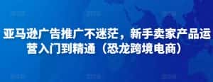 亚马逊广告推广不迷茫，新手卖家产品运营入门到精通（恐龙跨境电商）-优优云创网
