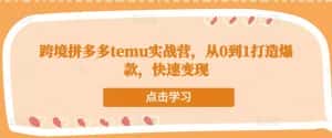 跨境拼多多temu实战营,从0到1打造爆款,快速变现-优优云创网