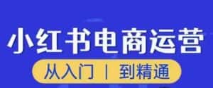 顽石小红书电商高阶运营课程,从入门到精通,玩法流程持续更新-优优云创网