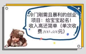 (6019期)冷门刚需且暴利的创业项目:给宝宝起名!收入高还简单(单次200-500)-优优云创网